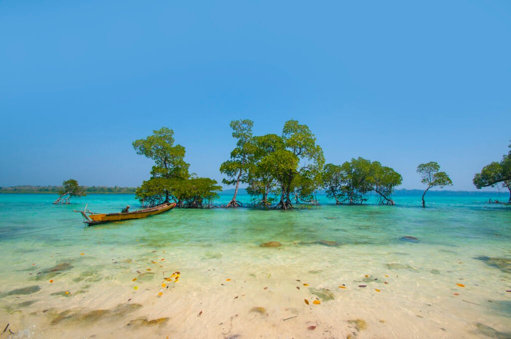 landscape of jolly buoy island, andaman and nicobar, india.