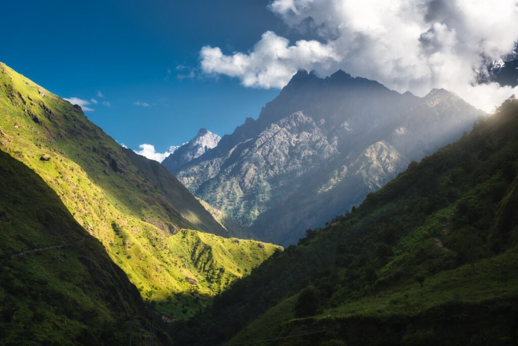 colorful landscape with high himalayan mountains, green forest