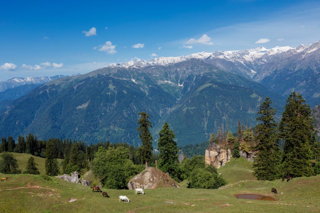 horses grazing in himalayas mountains