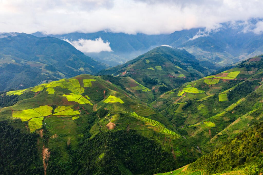 aerial top view of paddy rice terraces, green agricultural fields in countryside or rural area of mu cang chai, yen bai, mountain hills valley at sunset in asia, vietnam. nature landscape background.