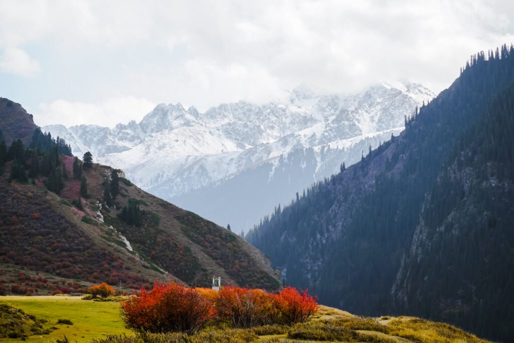 Snow-covered mountains, lush meadows, and pine forests of Sonamarg and Gulmarg in Kashmir, showcasing the region’s stunning natural beauty and serene landscapes.