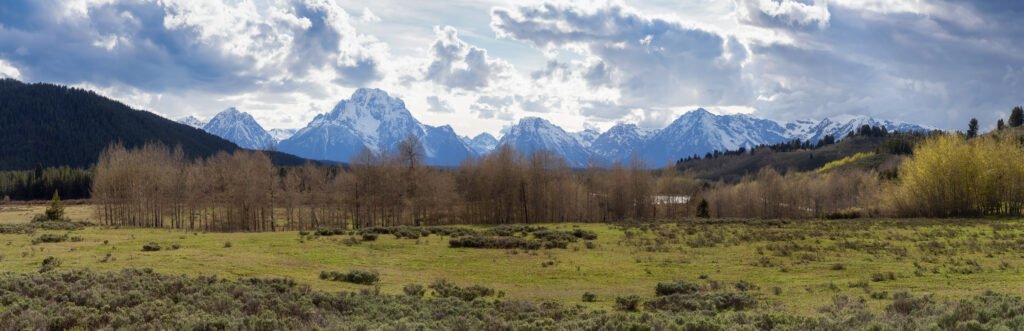 trees, land and mountains in american landscape. spring season.