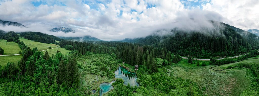 zelenci nature reserve in slovenia. mountain wetlands with sprin