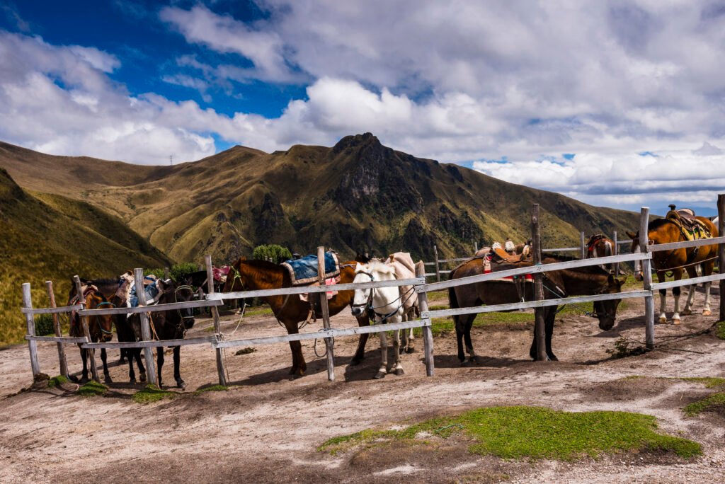 Saddled horses tied to a wooden fence on a mountain trail, ready for horse riding against a dramatic highland landscape.