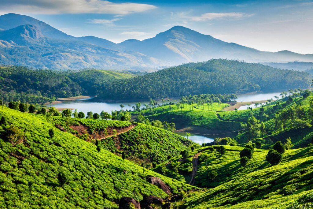 Lush green tea plantations and rolling hills of Munnar in Kerala with a serene river flowing through the valley