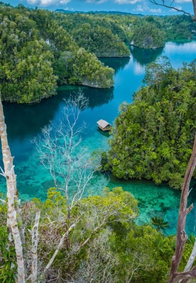 Indonesia Portrait 1 1 Scaled Rfd5wg8gps0jvl9sgyz2u7ymuii9rpx68yiuh3z8gw